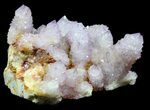 Cactus Quartz (Amethyst) Cluster - South Africa #38995-1
